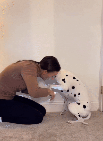 Tassfixarenâą - Slipp oron vid varje klipp