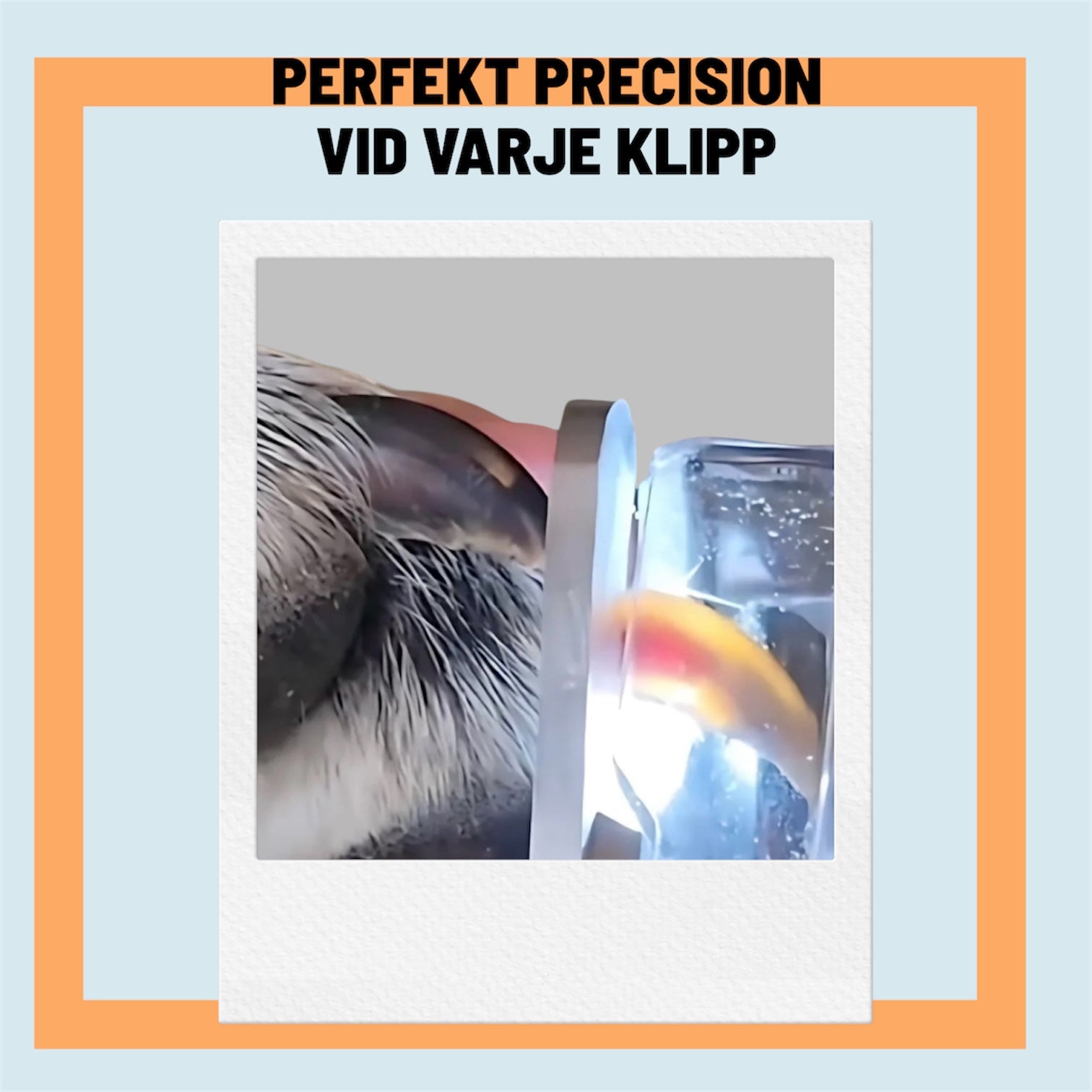 Tassfixaren™ - Slipp oron vid varje klipp